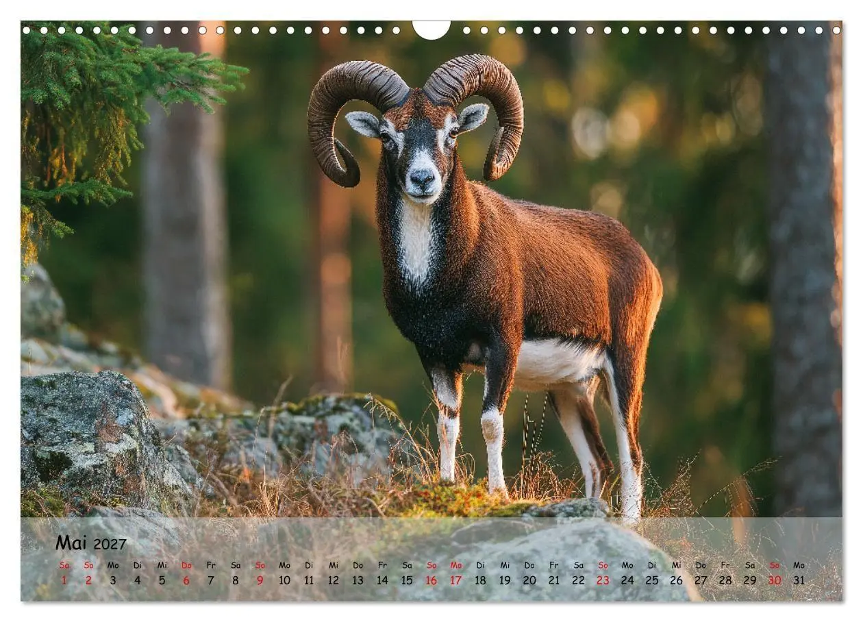 Bild: 9783516847192 | Jagd und Natur - Kalender für Jäger mit Wildtieren Deutschlands im...