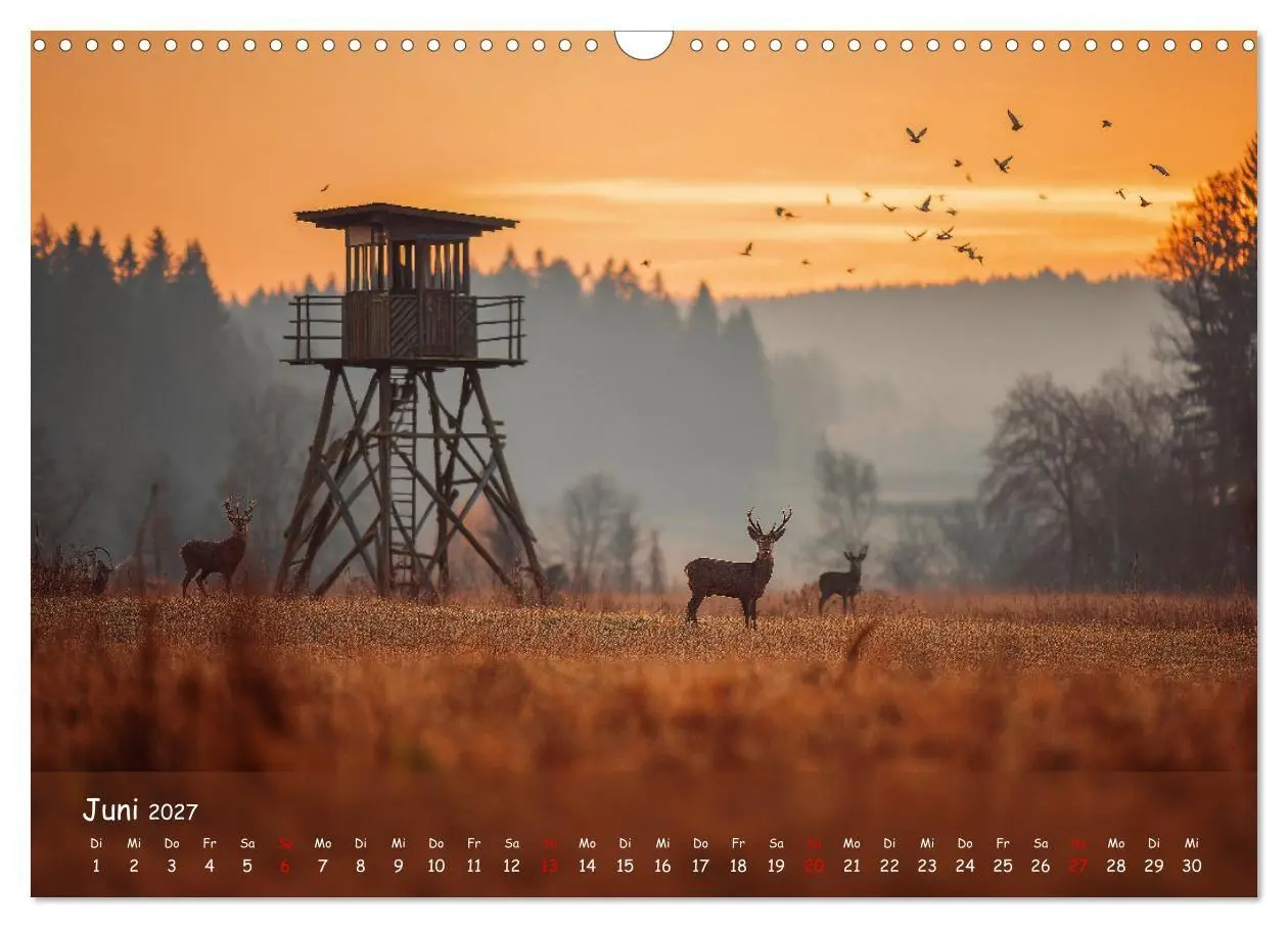Bild: 9783516847192 | Jagd und Natur - Kalender für Jäger mit Wildtieren Deutschlands im...
