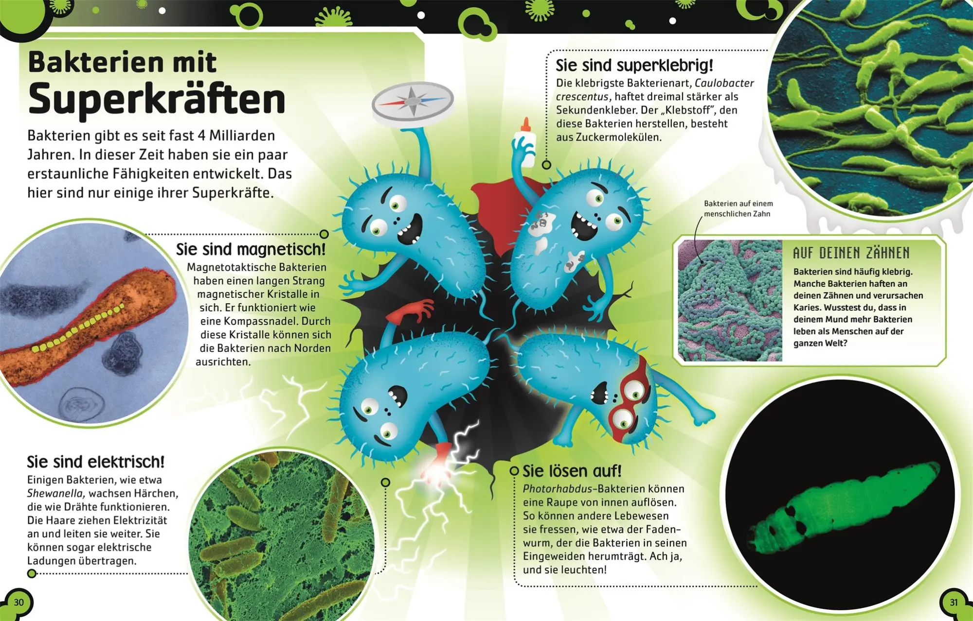 Bild: 9783831047192 | Superstark &amp; Superschlau. Bakterien und Viren | Steve Mould | Buch