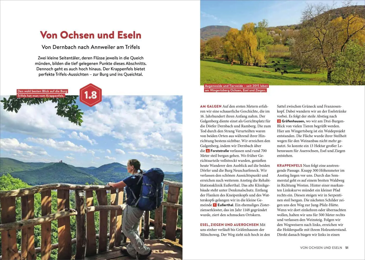 Bild: 9783734327292 | Fernwanderwege Pfalz | Melanie Müller | Taschenbuch | 192 S. | Deutsch