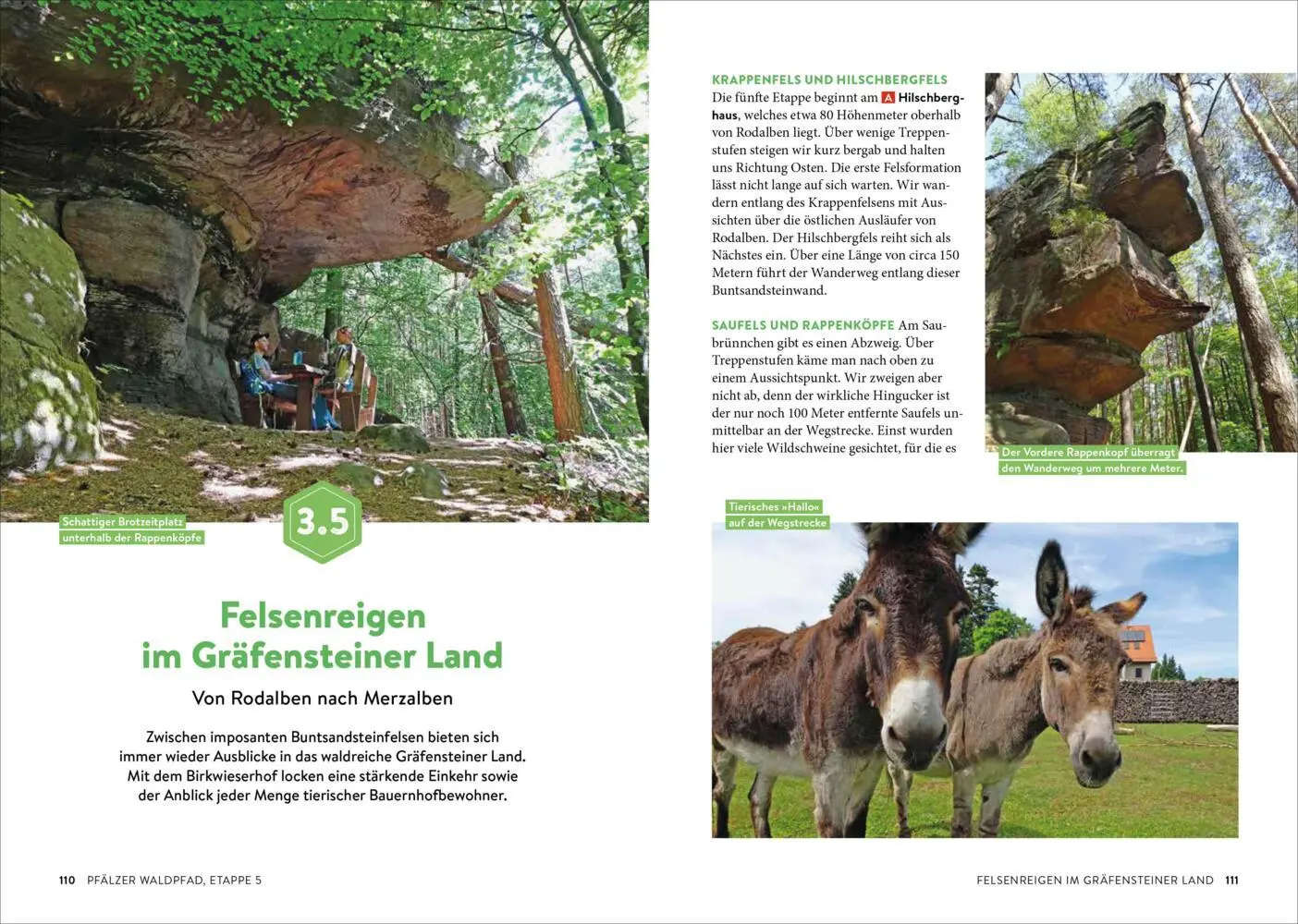 Bild: 9783734327292 | Fernwanderwege Pfalz | Melanie Müller | Taschenbuch | 192 S. | Deutsch