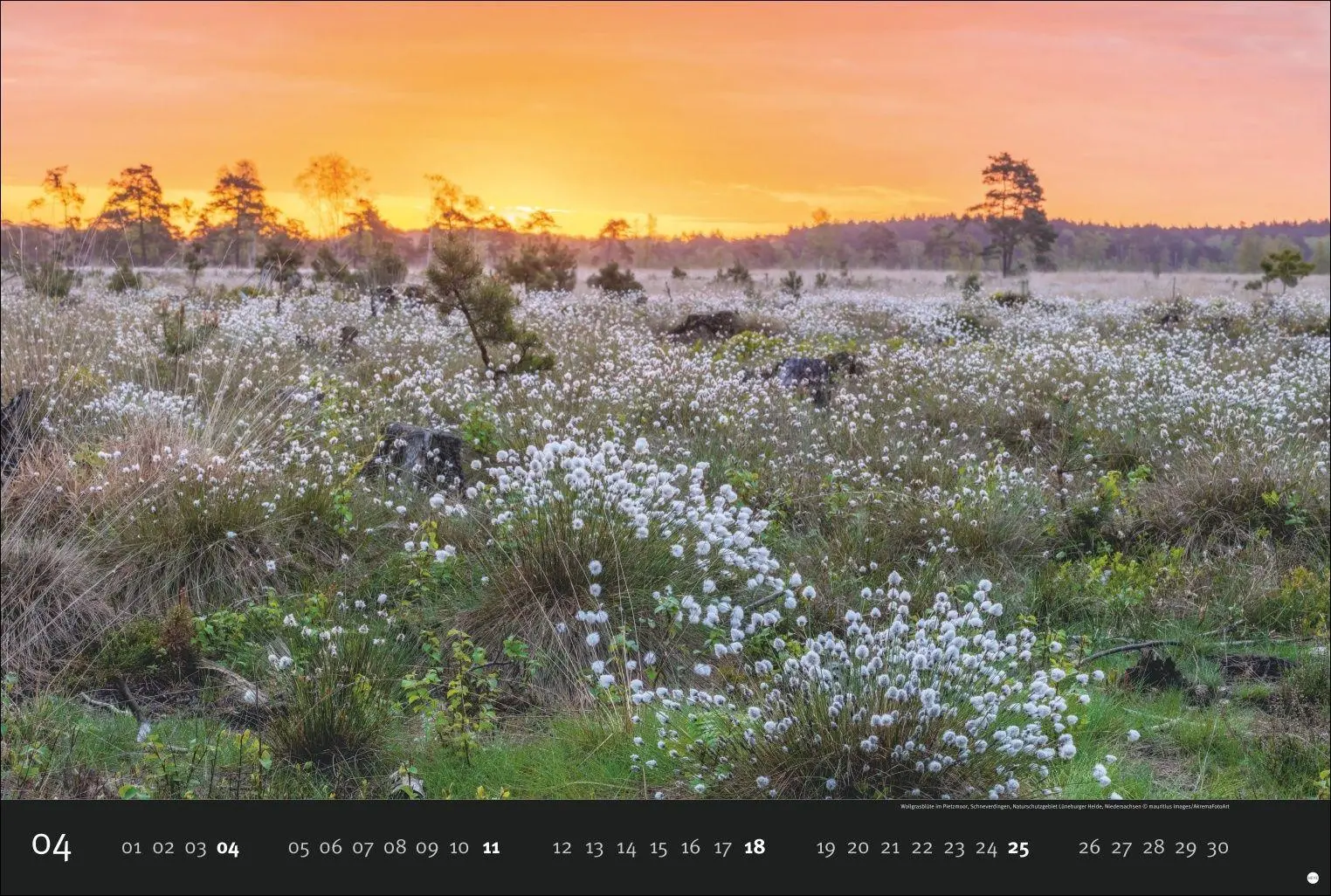 Bild: 9783756417292 | Deutschlands Naturparadiese Kalender 2027 - Edition Alexander von...