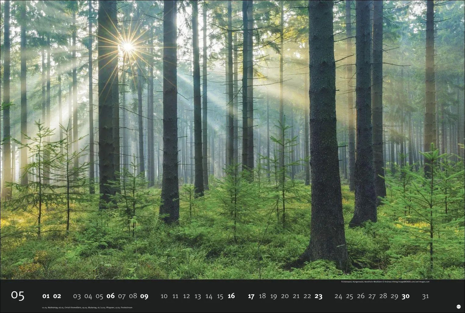Bild: 9783756417292 | Deutschlands Naturparadiese Kalender 2027 - Edition Alexander von...