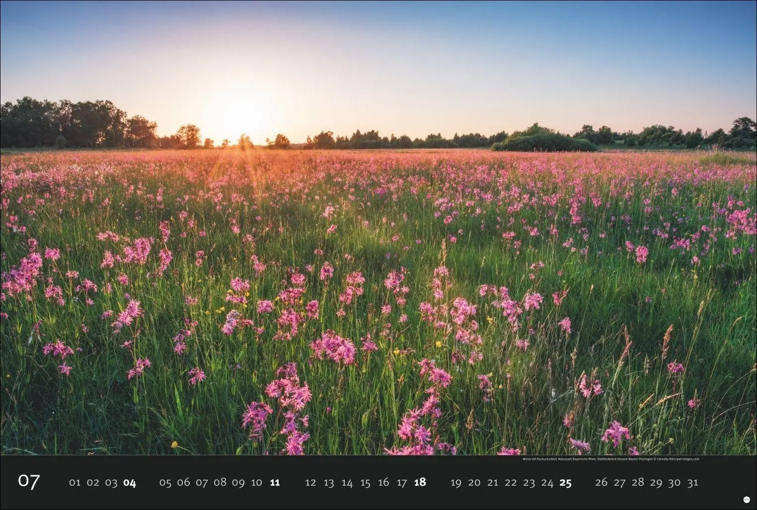 Bild: 9783756417292 | Deutschlands Naturparadiese Kalender 2027 - Edition Alexander von...