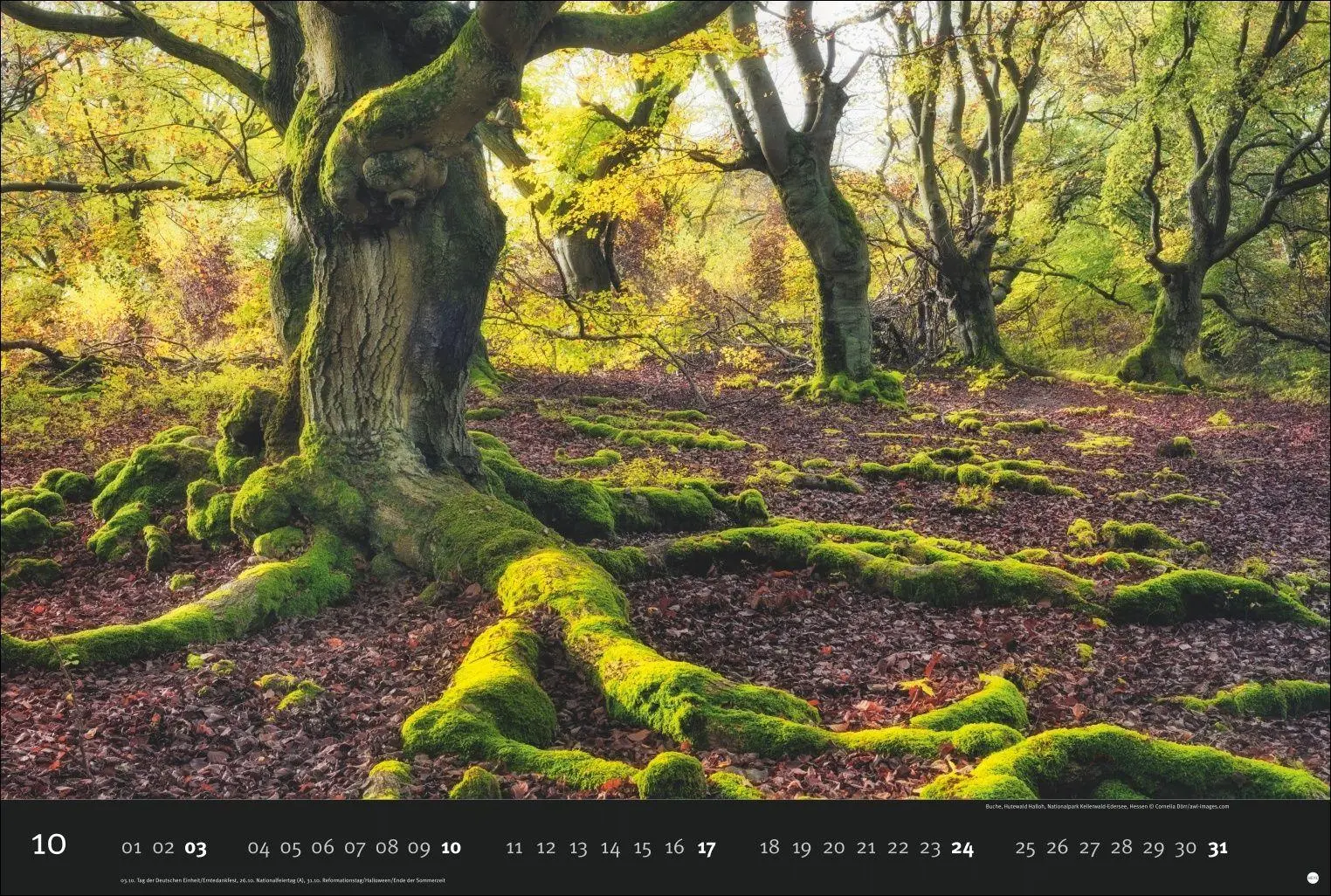 Bild: 9783756417292 | Deutschlands Naturparadiese Kalender 2027 - Edition Alexander von...