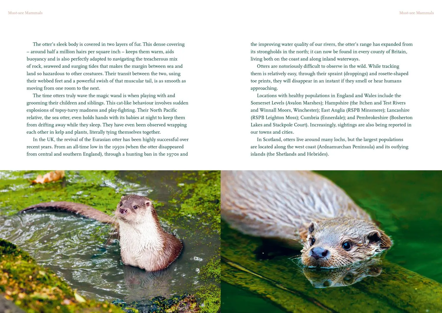 Bild: 9781911657392 | The Nature Lover's Bucket List | Britain's Unmissable Wildlife | Buch
