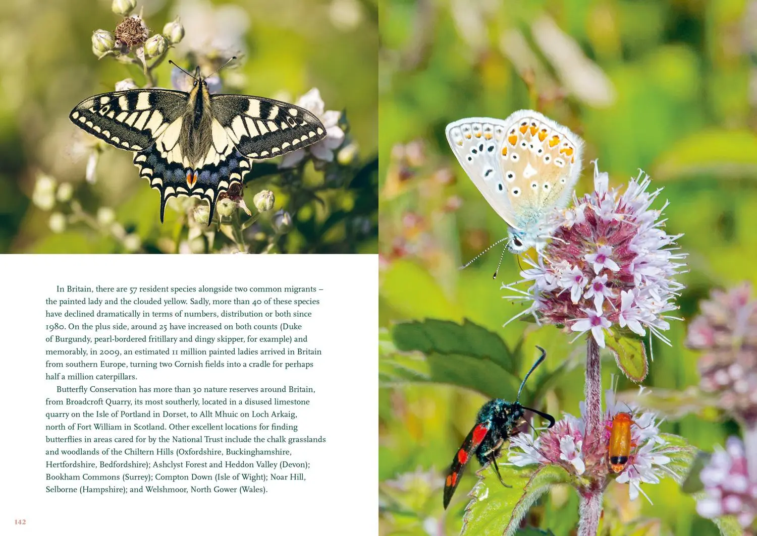 Bild: 9781911657392 | The Nature Lover's Bucket List | Britain's Unmissable Wildlife | Buch