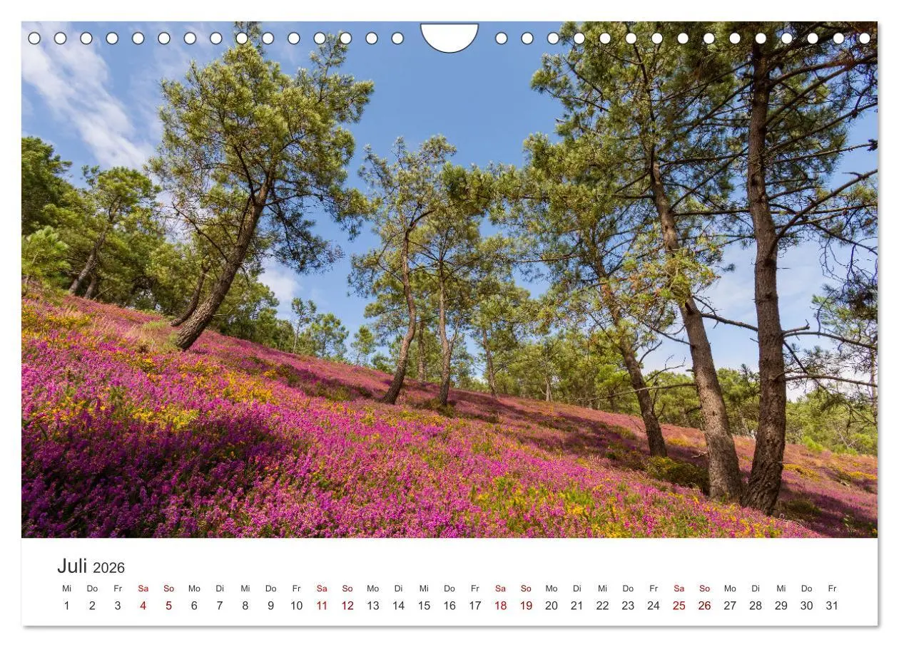 Bild: 9783457357392 | Die Bretagne - Traumpfade (Wandkalender 2026 DIN A4 quer), CALVENDO...