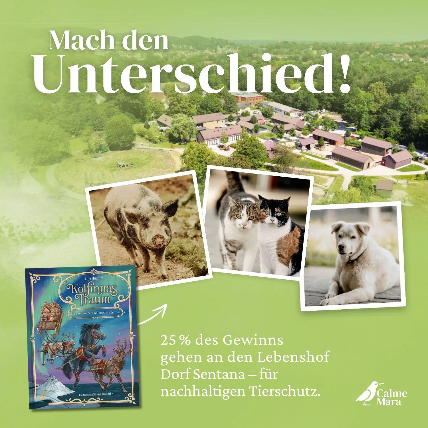 Bild: 9783948877392 | Kolfinnas Traum | Lilja Hindahl | Buch | 156 S. | Deutsch | 2023
