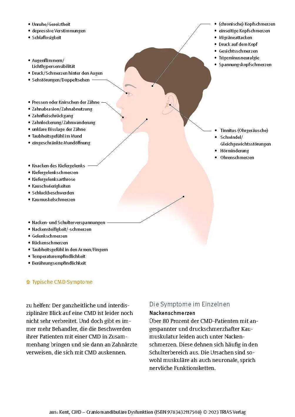 Bild: 9783432117492 | CMD - Craniomandibuläre Dysfunktion | Hamdi Kent | Taschenbuch | 2023 Bild: 9783432117492 | CMD - Craniomandibuläre Dysfunktion | Hamdi Kent | Taschenbuch | 2023