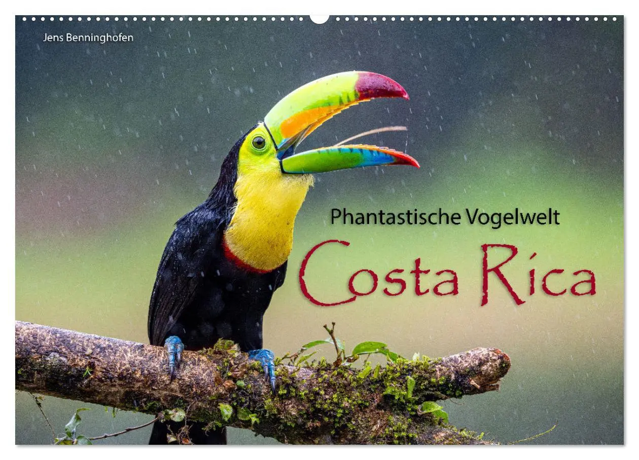 Cover: 9783457277492 | Phantastische Vogelwelt Costa Rica (Wandkalender 2026 DIN A2 quer),...
