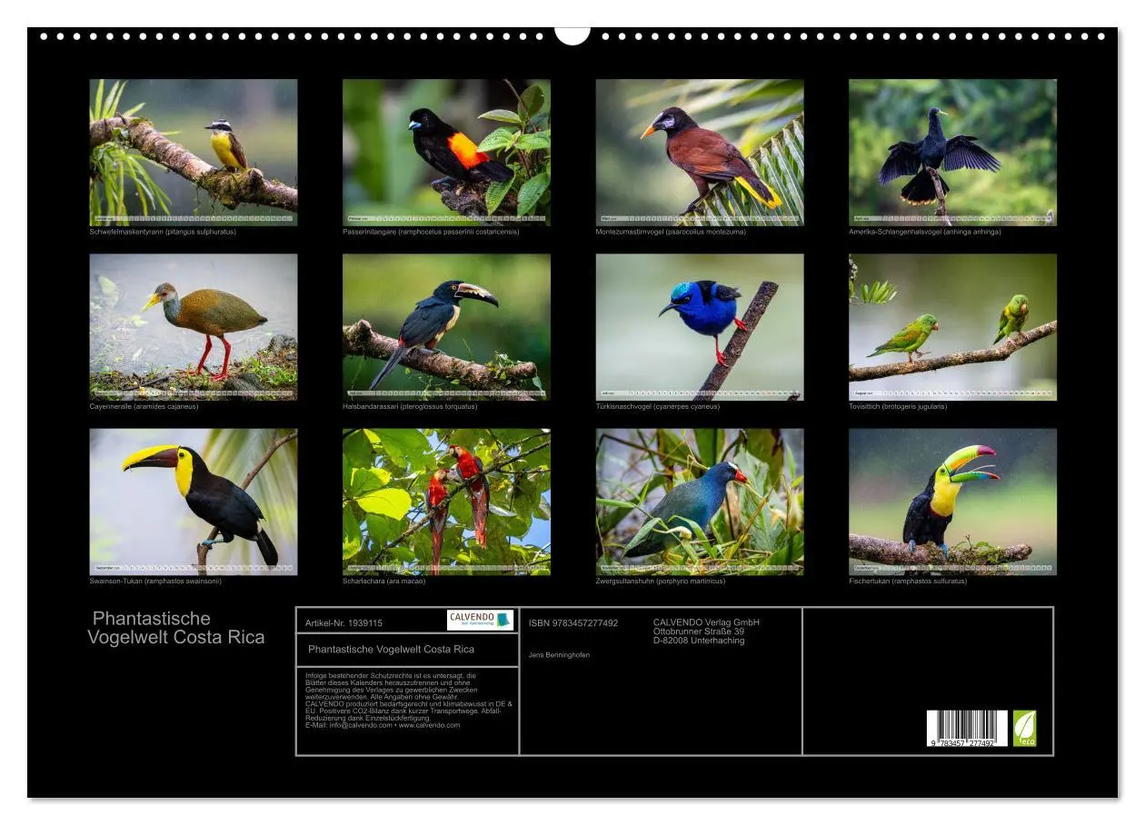 Bild: 9783457277492 | Phantastische Vogelwelt Costa Rica (Wandkalender 2026 DIN A2 quer),...