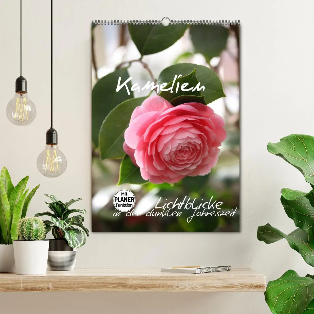 Bild: 9783516437492 | Kamelien Lichtblicke in der dunklen Jahreszeit (Wandkalender 2026...