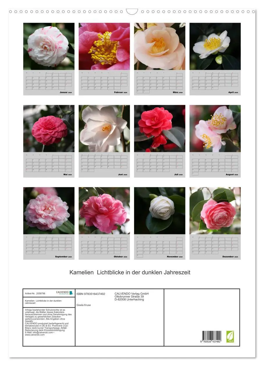 Bild: 9783516437492 | Kamelien Lichtblicke in der dunklen Jahreszeit (Wandkalender 2026...