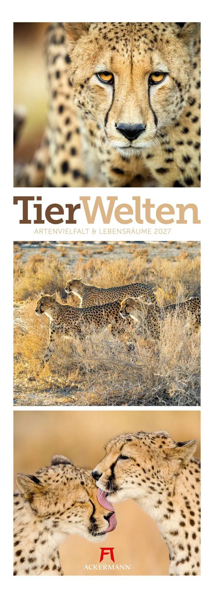 Cover: 9783838427492 | Tierwelten Triplet-Kalender 2027 Artenvielfalt &amp; Lebensräume | GmbH