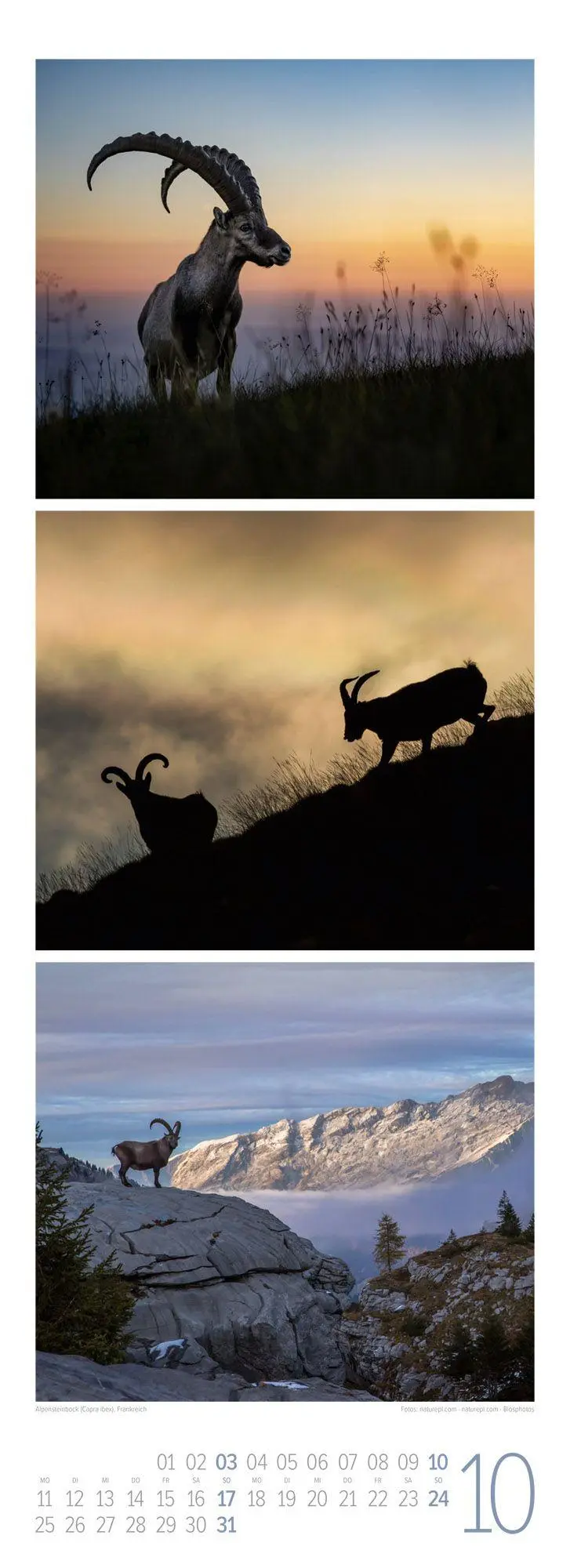 Bild: 9783838427492 | Tierwelten Triplet-Kalender 2027 Artenvielfalt &amp; Lebensräume | GmbH