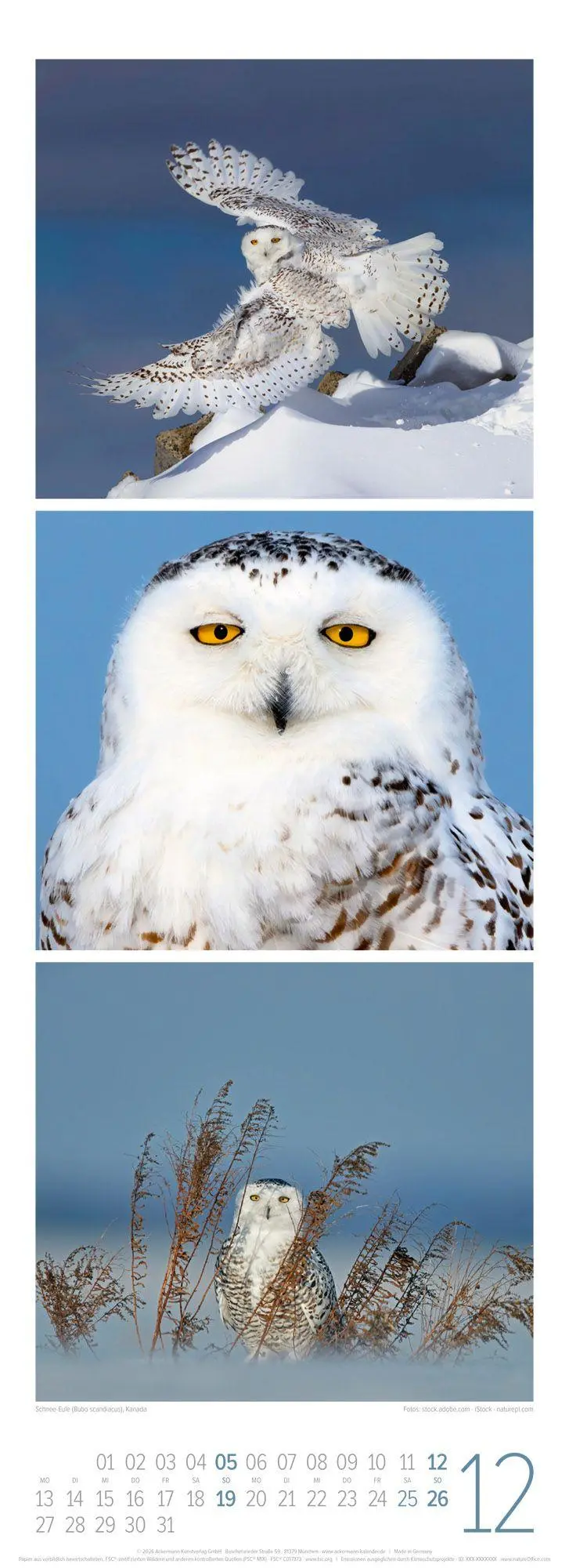 Bild: 9783838427492 | Tierwelten Triplet-Kalender 2027 Artenvielfalt &amp; Lebensräume | GmbH