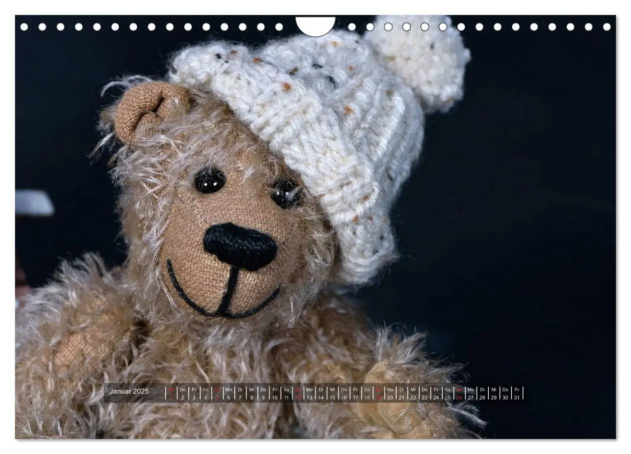 Bild: 9783435627592 | Die Teddys sind los (Wandkalender 2025 DIN A4 quer), CALVENDO...