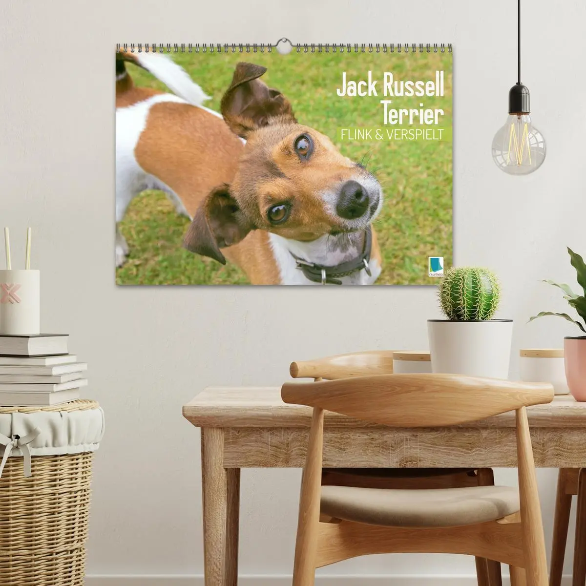 Bild: 9783516597592 | Jack Russell Terrier: flink und verspielt (Wandkalender 2026 DIN A3...