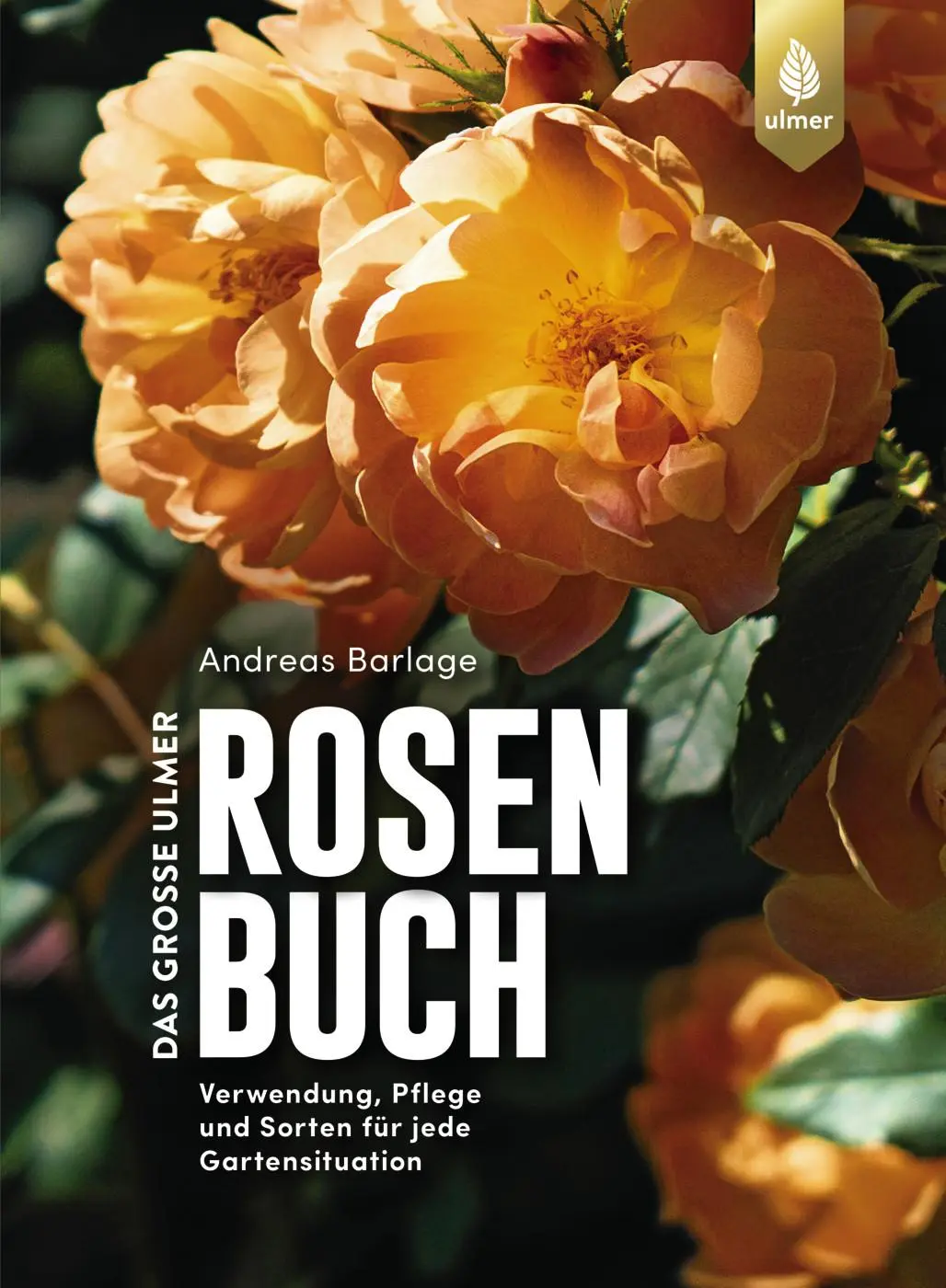 Cover: 9783818617592 | Das große Ulmer Rosenbuch | Andreas Barlage | Buch | 288 S. | Deutsch