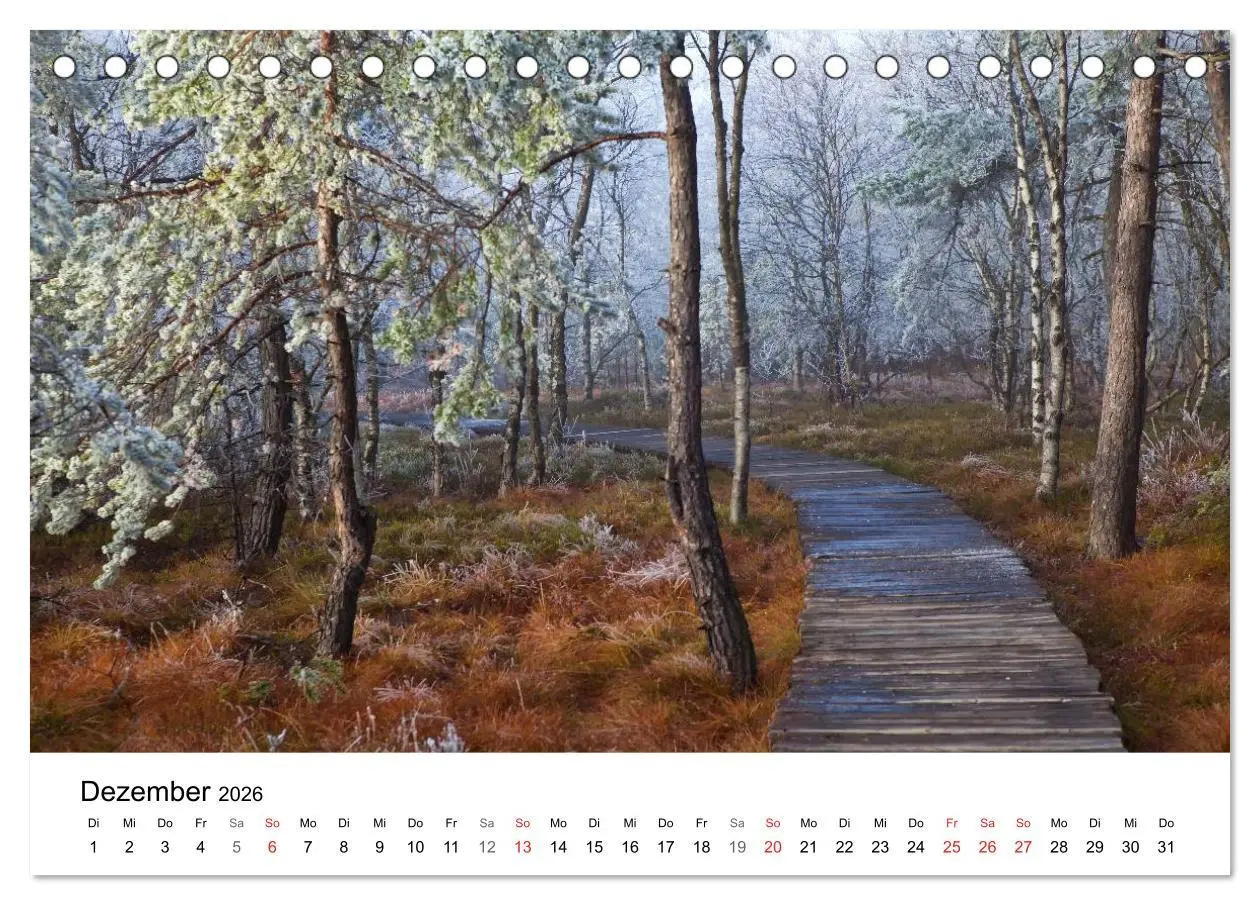 Bild: 9783457947692 | Auf neuen Wegen (Tischkalender 2026 DIN A5 quer), CALVENDO...