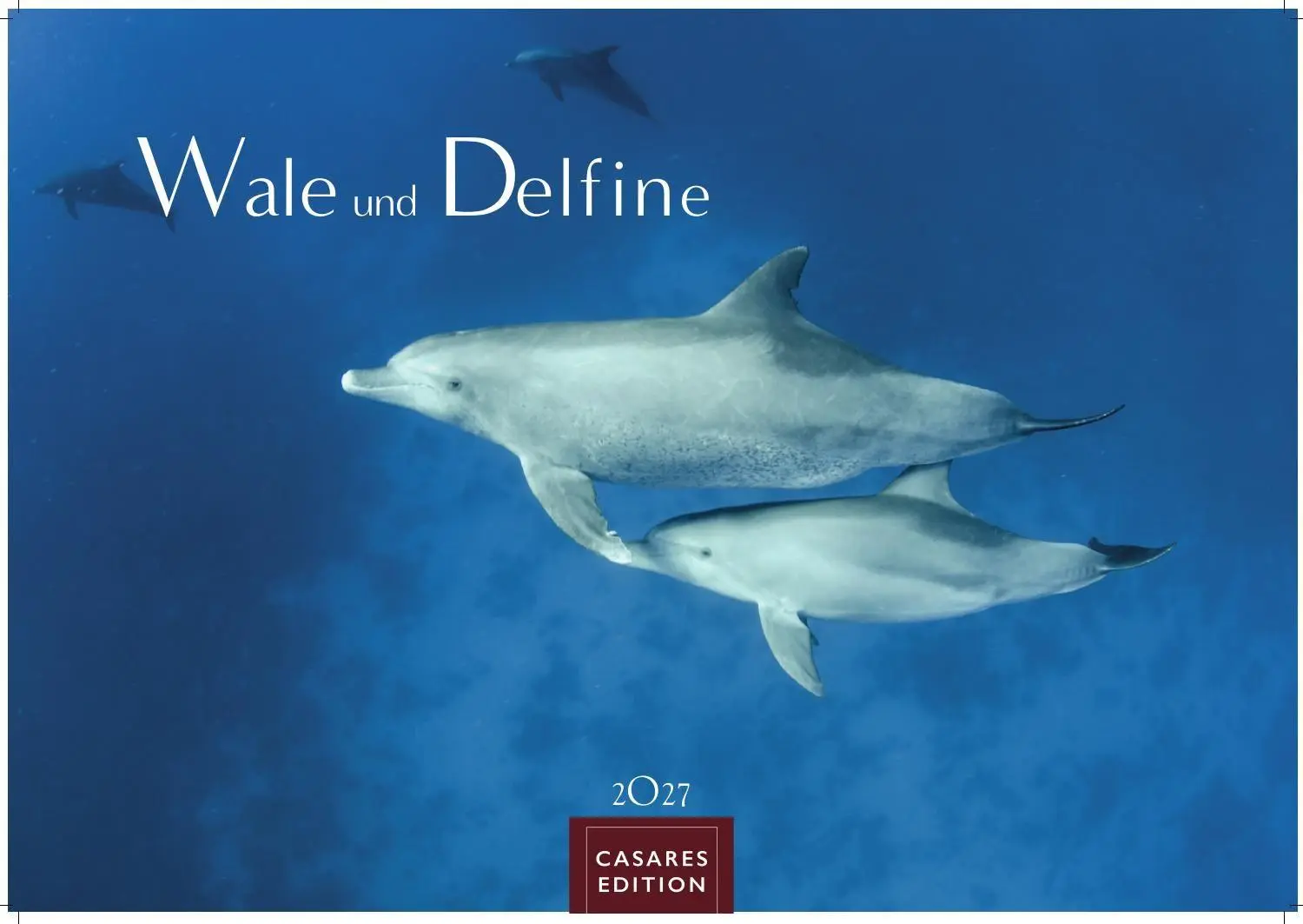 Cover: 9781835247792 | Wale und Delfine Kalender 2027 - Wandkalender Fotokalender...