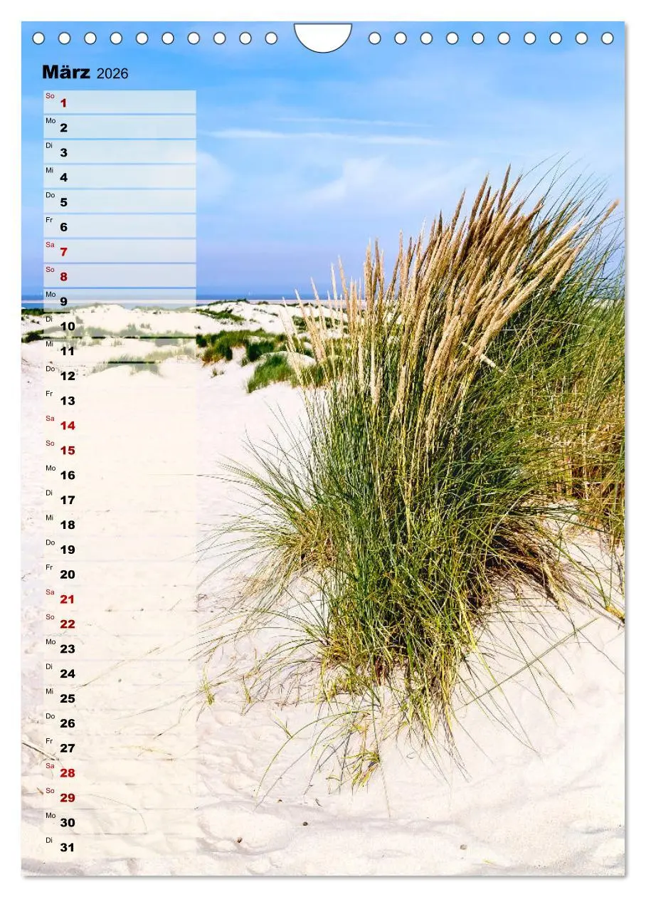 Bild: 9783516407792 | An der See Geburtstagsplaner (Wandkalender 2026 DIN A4 hoch),...