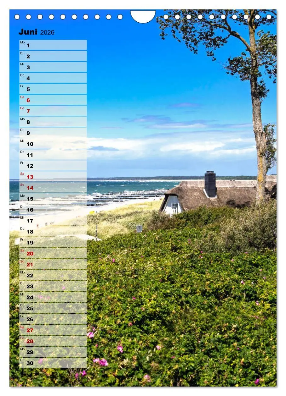 Bild: 9783516407792 | An der See Geburtstagsplaner (Wandkalender 2026 DIN A4 hoch),...