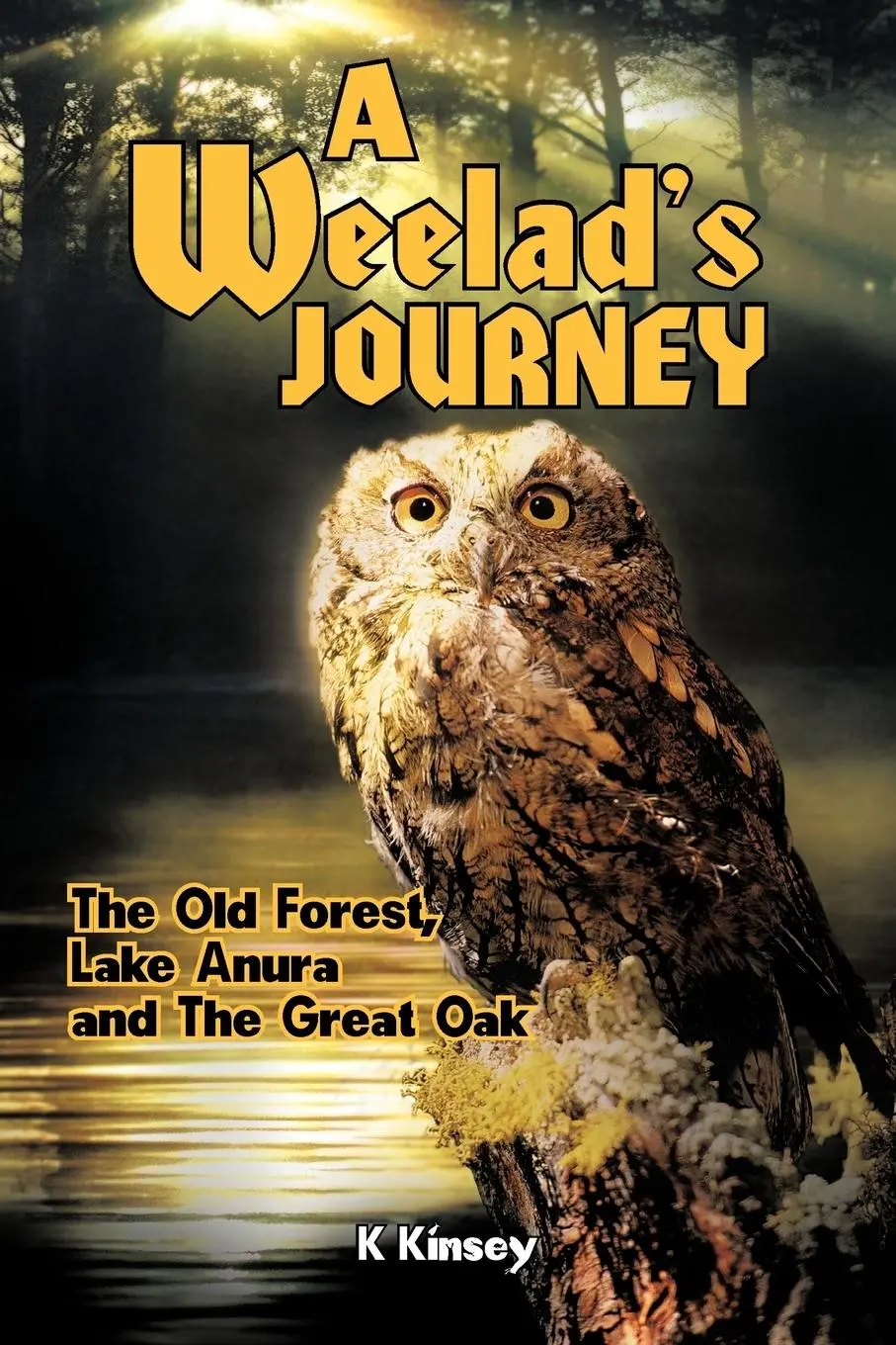 Cover: 9781463447892 | A Weelad's Journey | The Old Forest, Lake Anura and the Great Oak