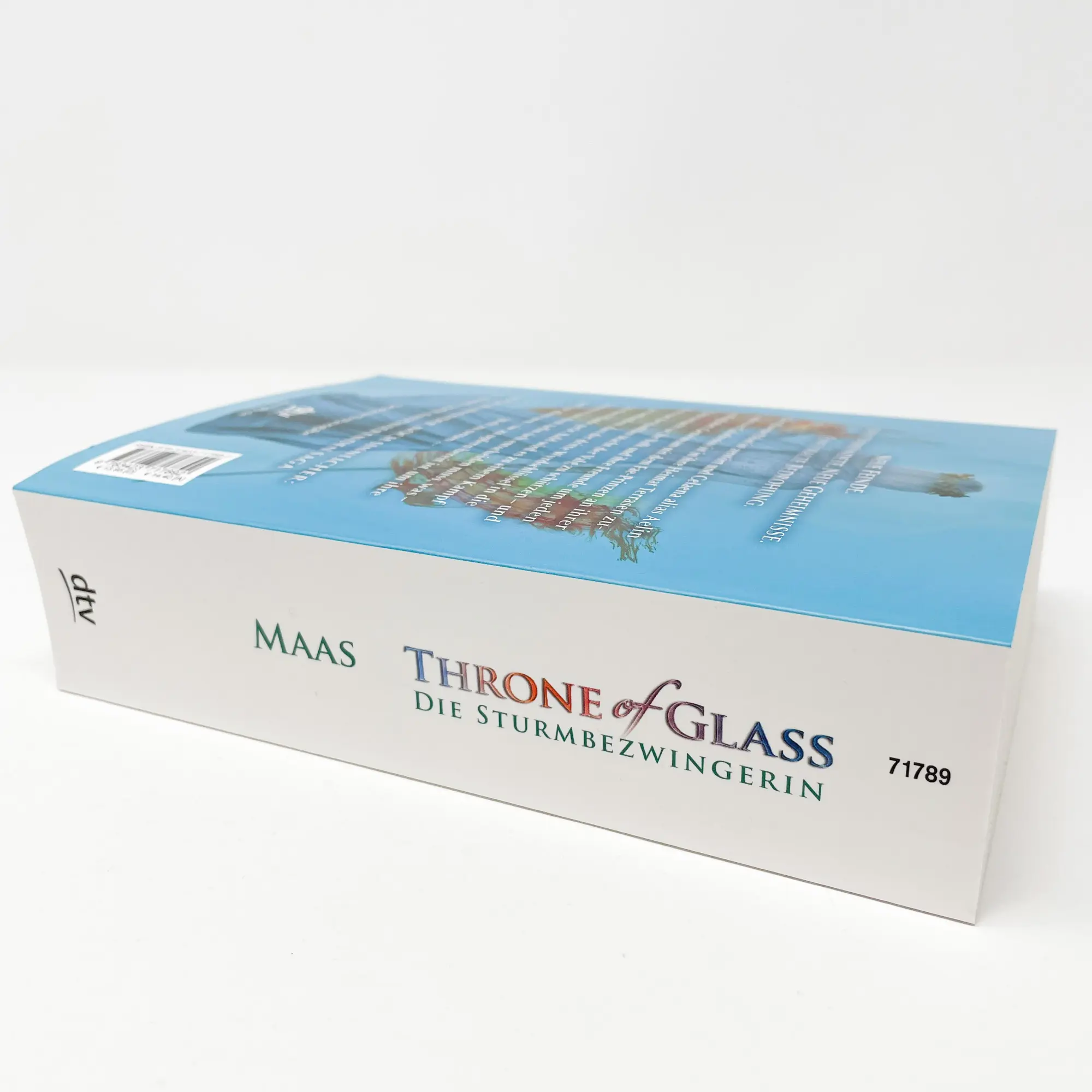 Bild: 9783423717892 | Throne of Glass 5 - Die Sturmbezwingerin | Sarah J. Maas | Taschenbuch