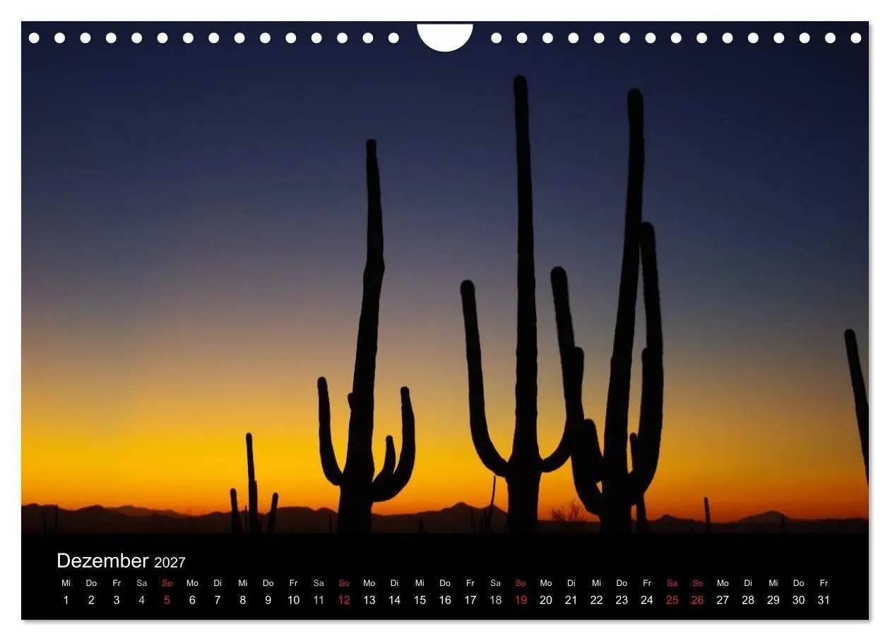Bild: 9783594237892 | Wild beauty of Arizona (Wandkalender 2027 DIN A4 quer), CALVENDO...