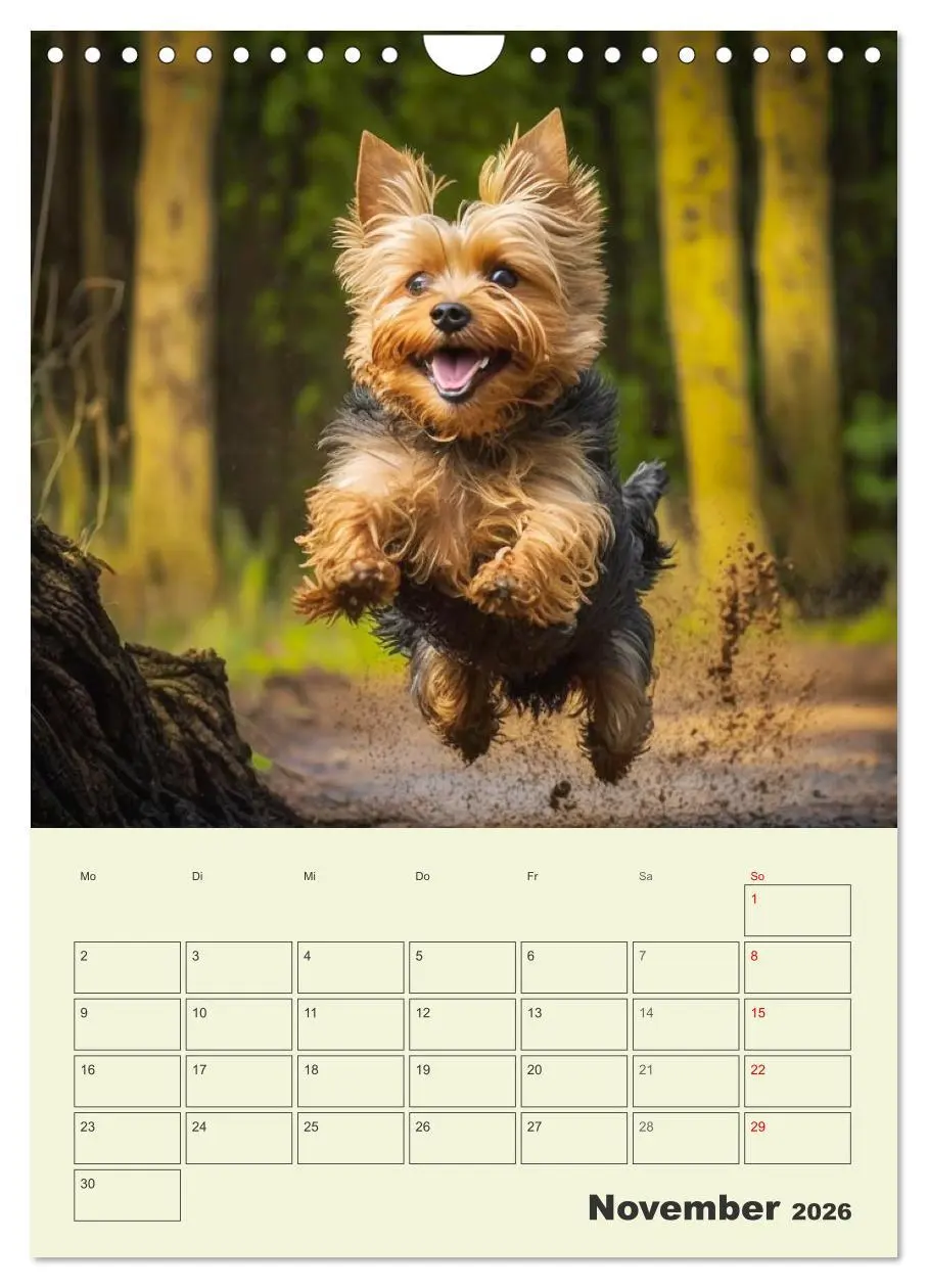 Bild: 9783516317992 | Yorkshire Terrier. Fröhliche Energiebündel in Aktion (Wandkalender...