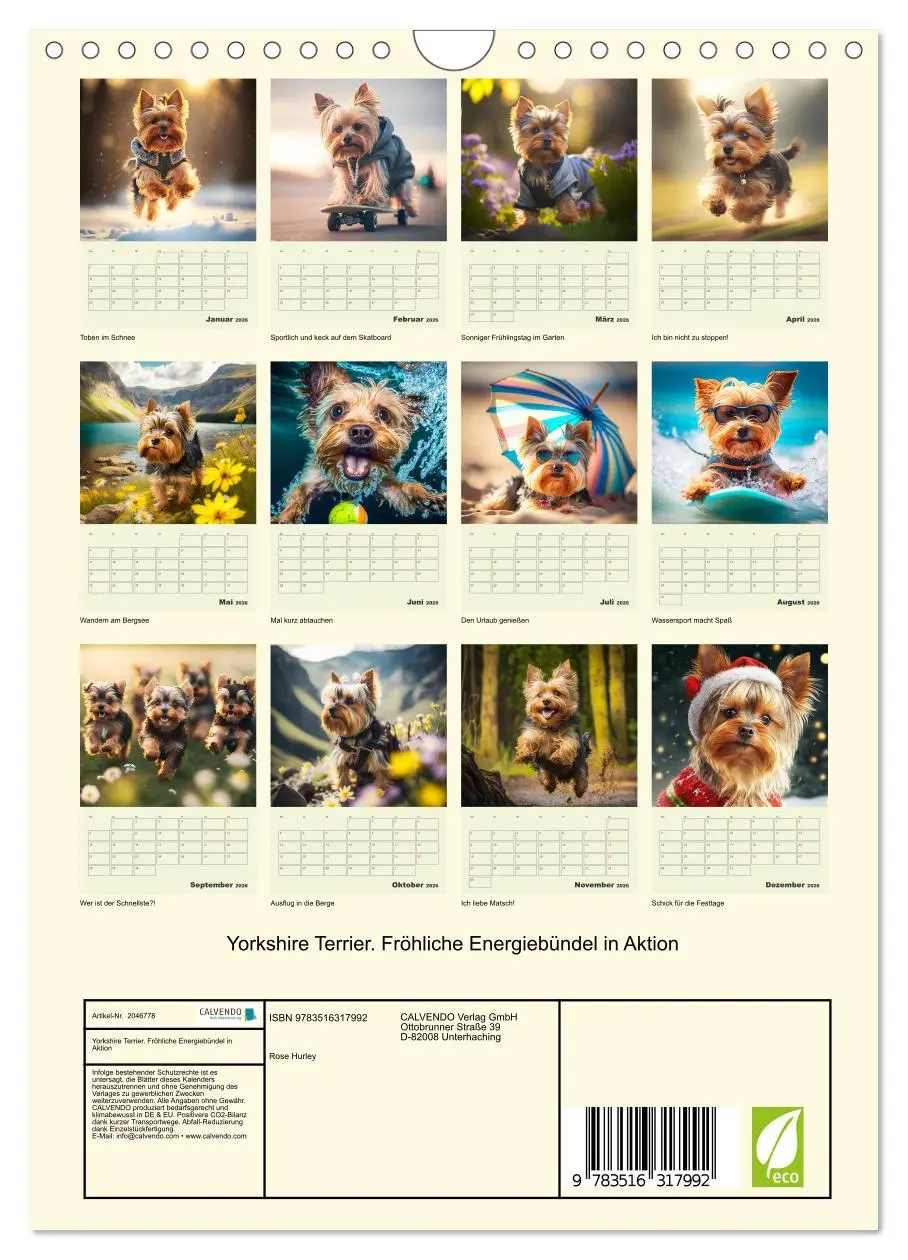 Bild: 9783516317992 | Yorkshire Terrier. Fröhliche Energiebündel in Aktion (Wandkalender...