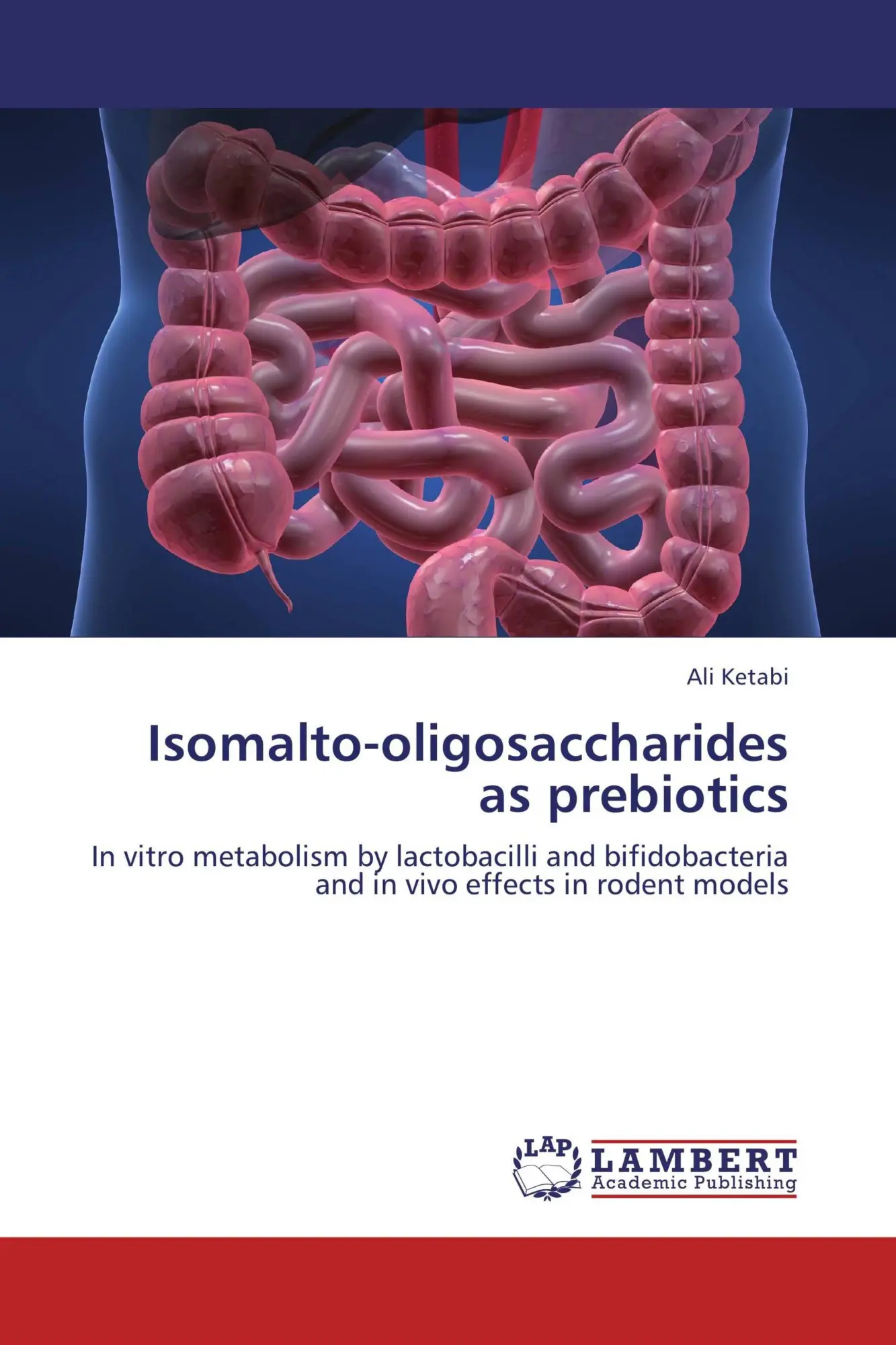 Cover: 9783845477992 | Isomalto-oligosaccharides as prebiotics | Ali Ketabi | Taschenbuch