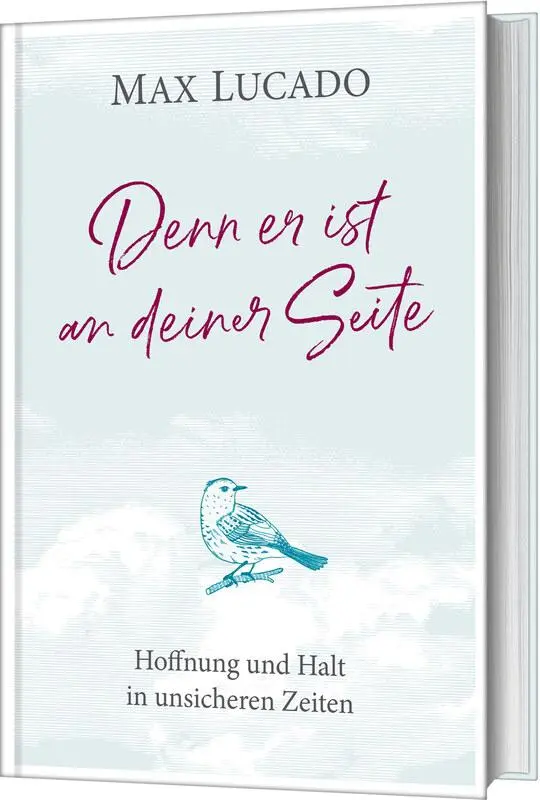 Cover: 9783957347992 | Denn er ist an deiner Seite | Hoffnung und Halt in unsicheren Zeiten