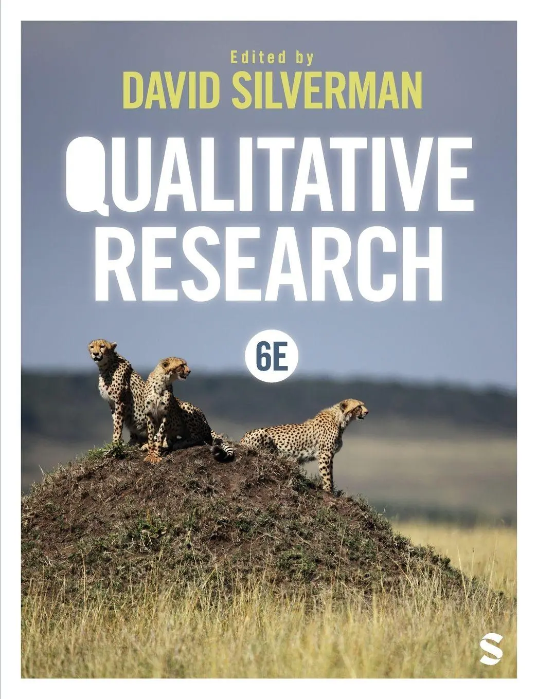 Cover: 9781529688092 | Qualitative Research (Sixth Edition) | David Silverman | Taschenbuch