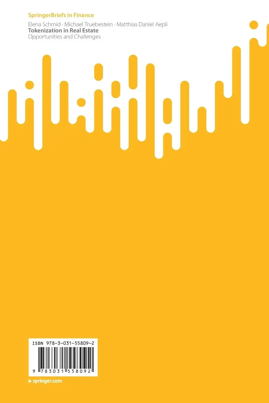 Rückseite: 9783031558092 | Tokenization in Real Estate | Opportunities and Challenges | Buch