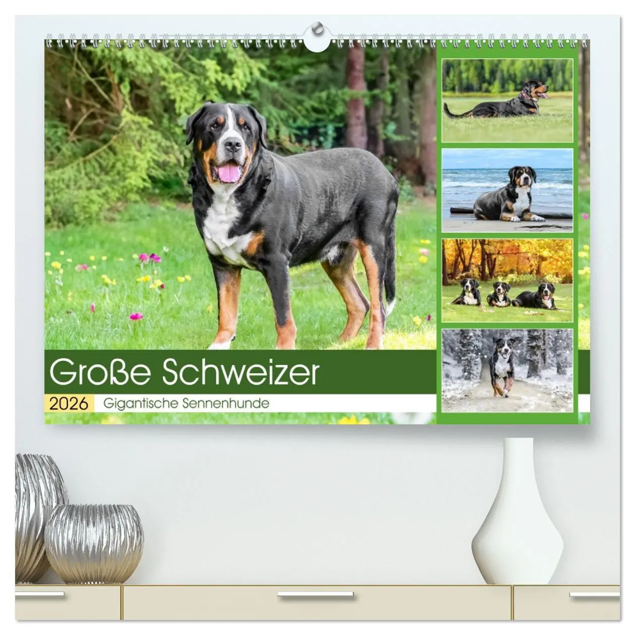 Cover: 9783457348192 | Große Schweizer - Gigantische Sennenhunde (hochwertiger Premium...