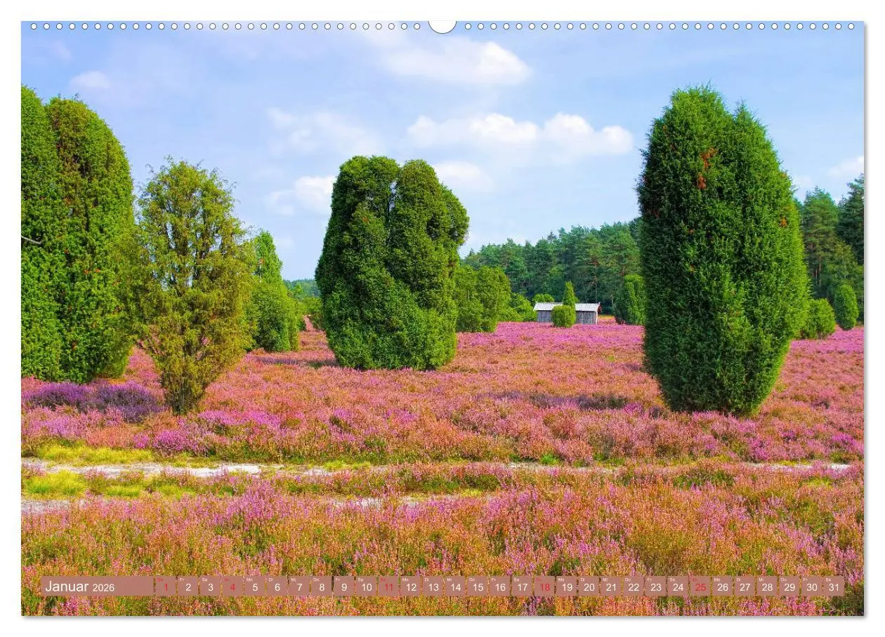 Bild: 9783457728192 | Lüneburger Heide - Wanderung rund um Wilsede und Totengrund...