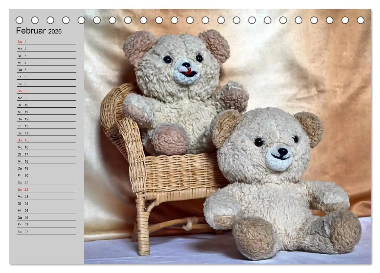 Bild: 9783457968192 | TEDDYBÄR, OH TEDDYBÄR... (Tischkalender 2026 DIN A5 quer), CALVENDO...