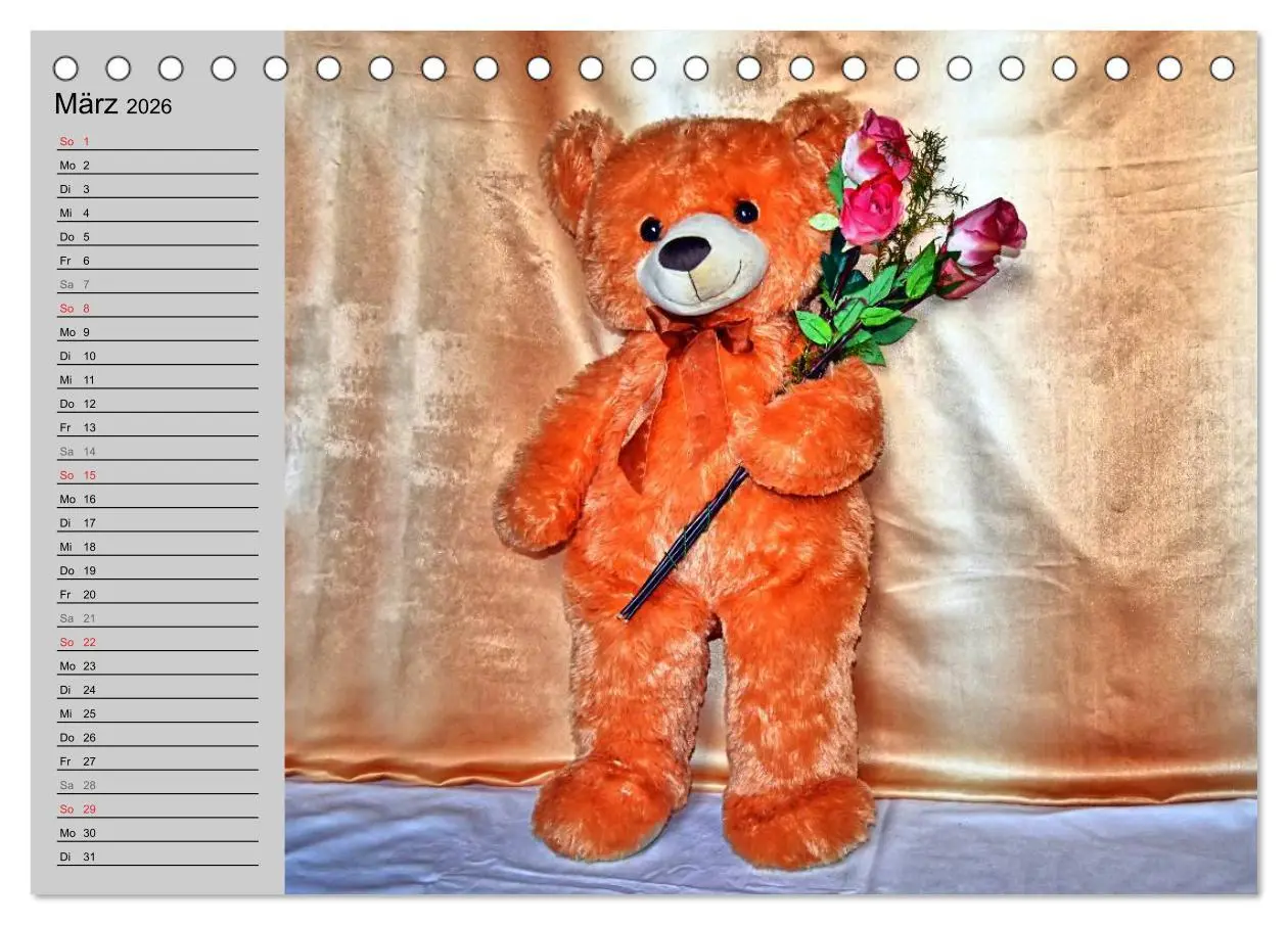 Bild: 9783457968192 | TEDDYBÄR, OH TEDDYBÄR... (Tischkalender 2026 DIN A5 quer), CALVENDO...