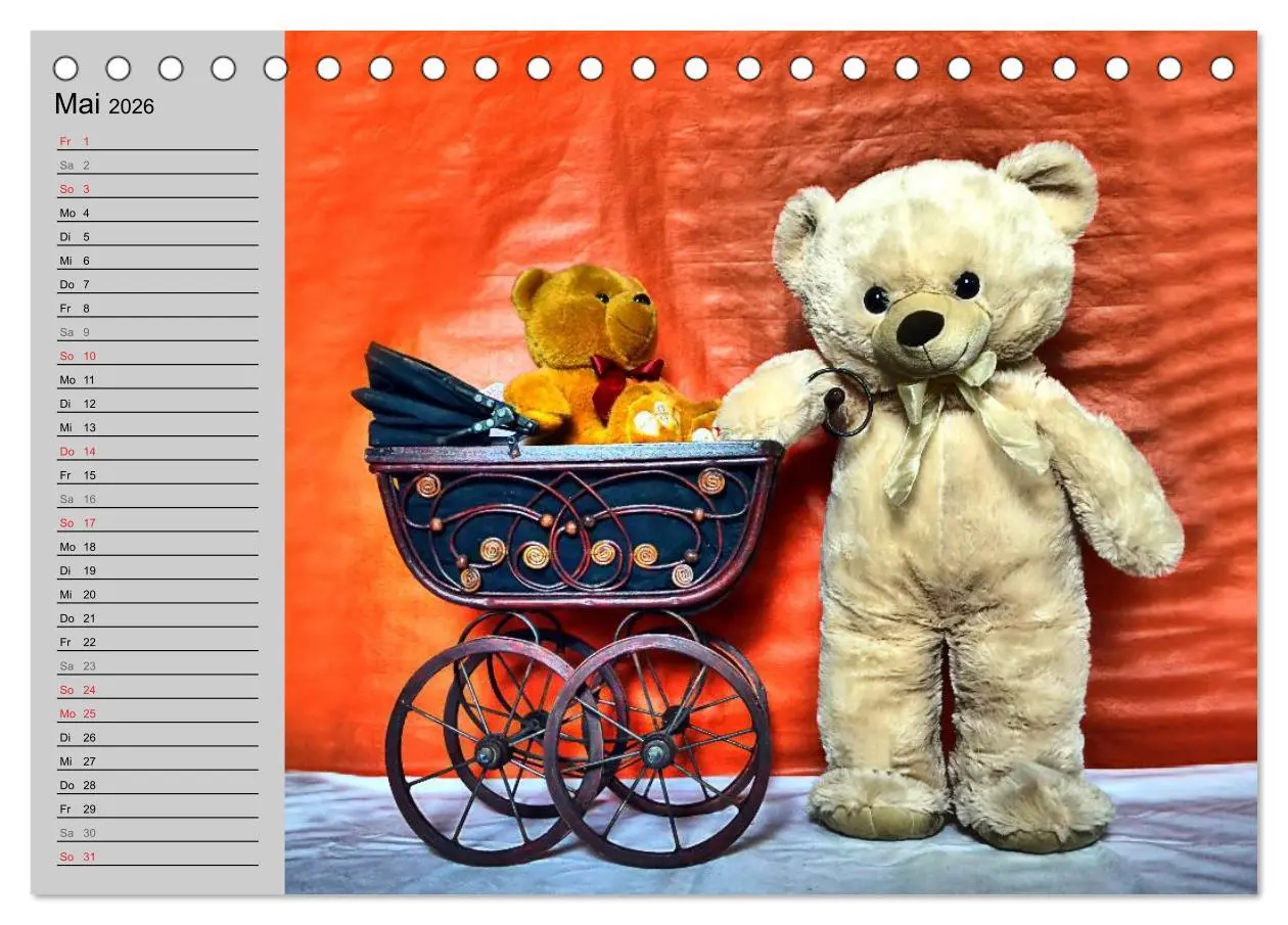 Bild: 9783457968192 | TEDDYBÄR, OH TEDDYBÄR... (Tischkalender 2026 DIN A5 quer), CALVENDO...