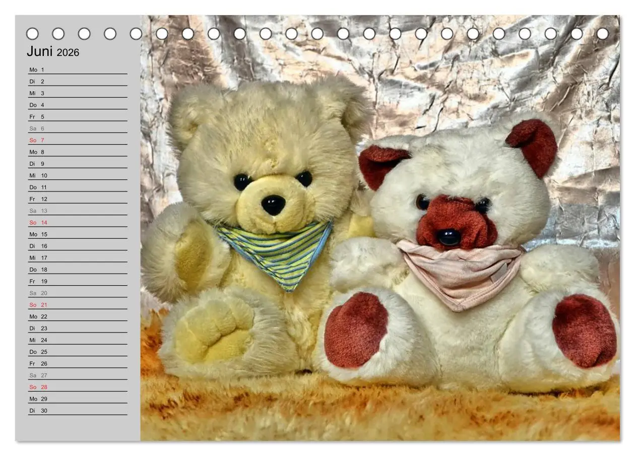 Bild: 9783457968192 | TEDDYBÄR, OH TEDDYBÄR... (Tischkalender 2026 DIN A5 quer), CALVENDO...