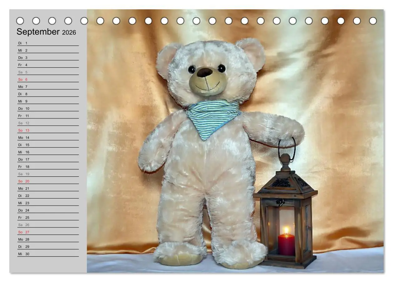 Bild: 9783457968192 | TEDDYBÄR, OH TEDDYBÄR... (Tischkalender 2026 DIN A5 quer), CALVENDO...