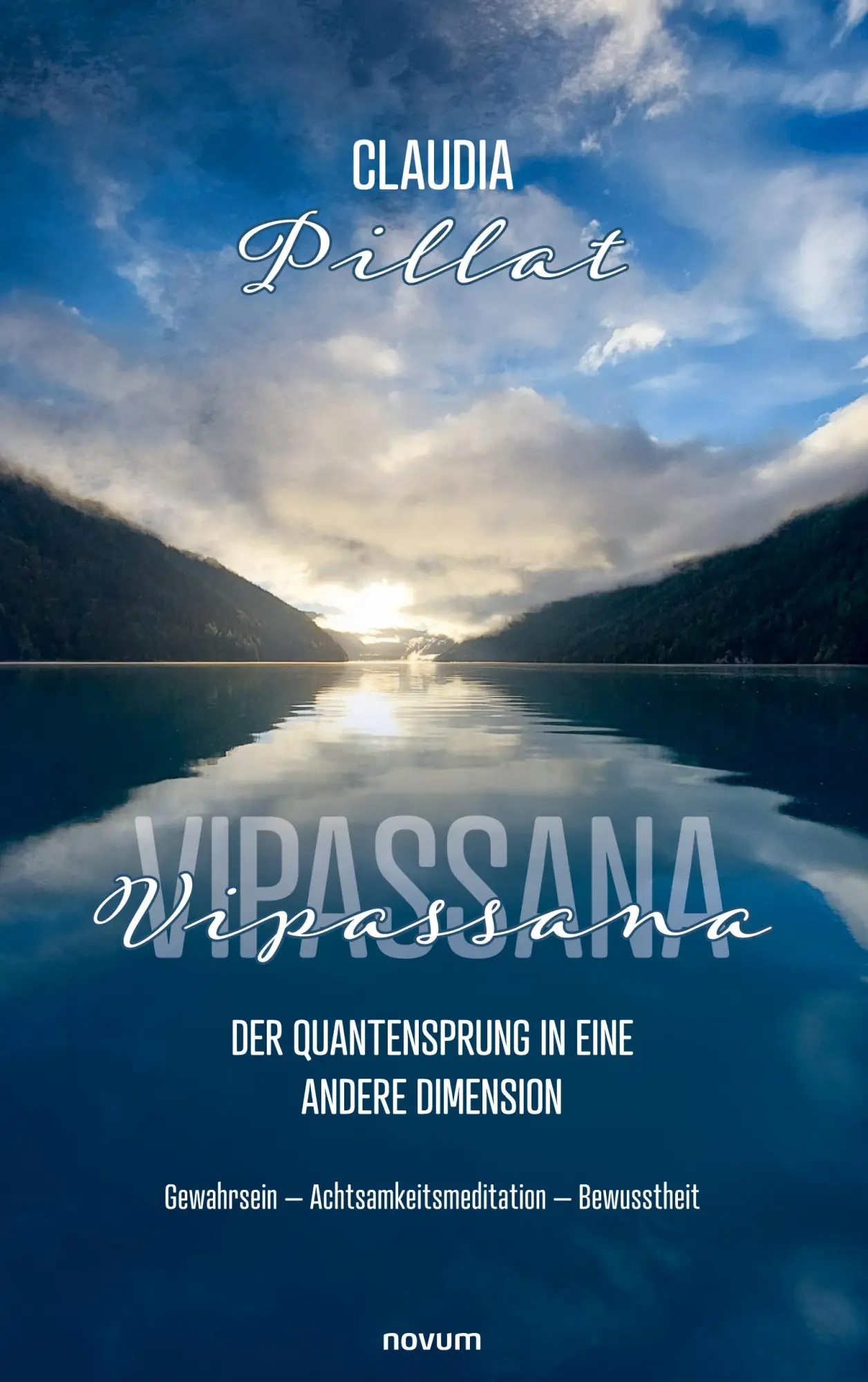 Cover: 9783711608192 | Vipassana - der Quantensprung in eine andere Dimension | Pillat | Buch