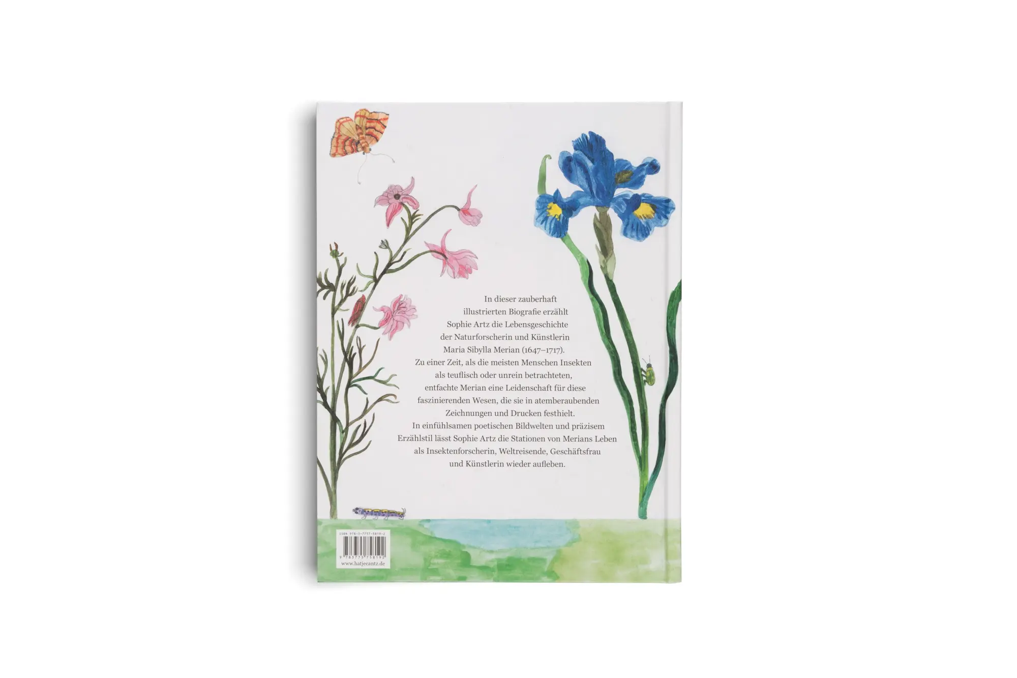 Bild: 9783775758192 | Maria Sibylla Merian - Ein Leben mit Pinsel, Lupe und Papier...