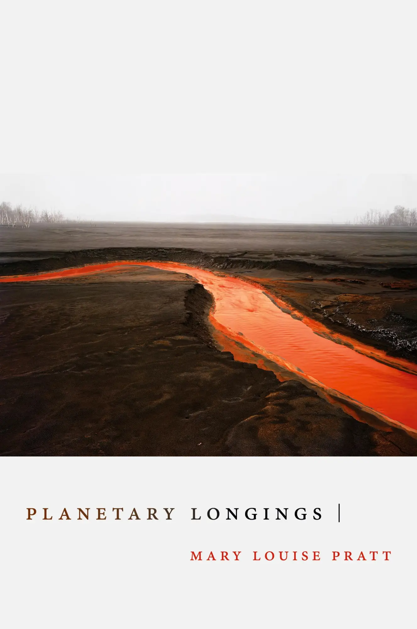 Cover: 9781478018292 | Planetary Longings | Mary Louise Pratt | Taschenbuch | Englisch | 2022