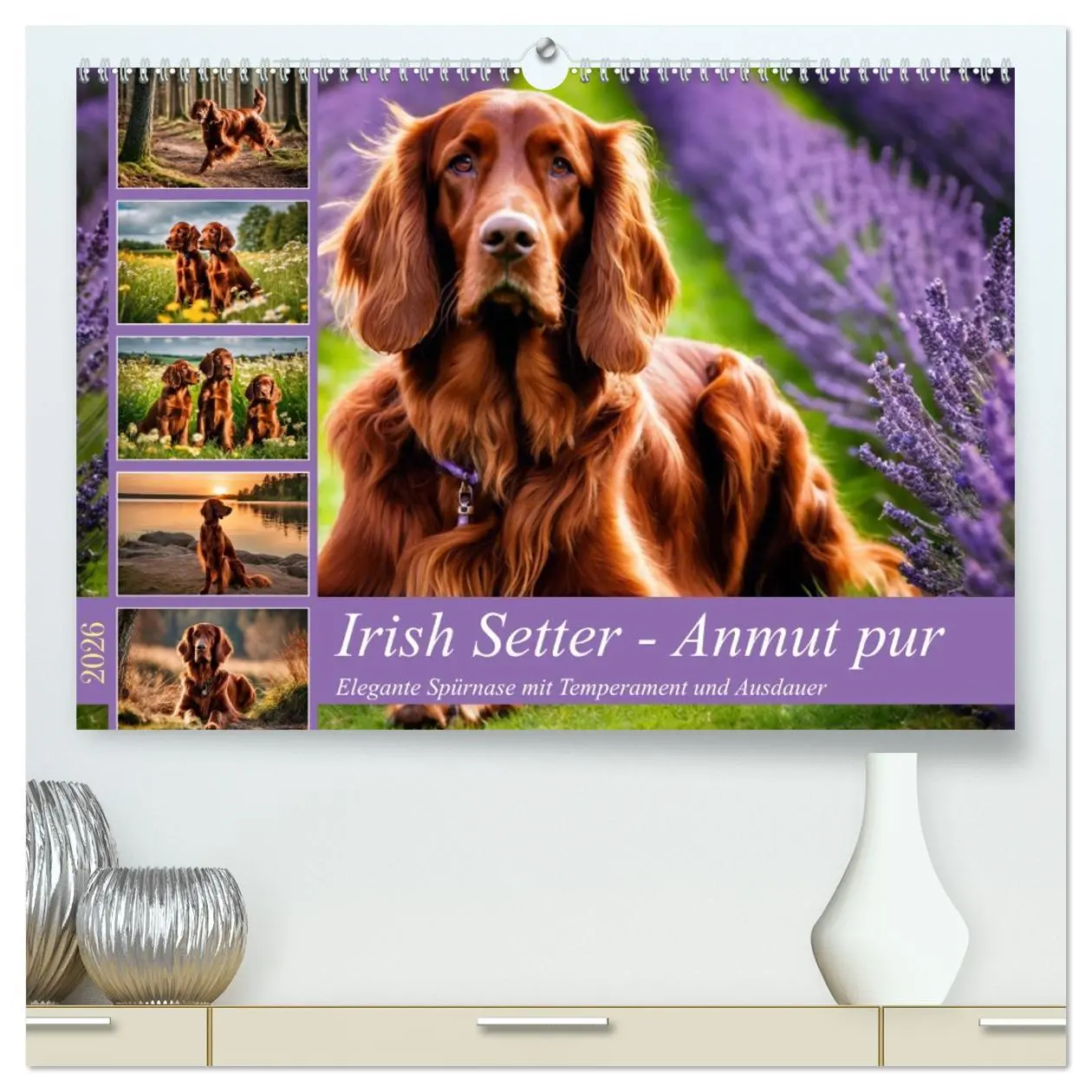 Cover: 9783457408292 | Irish Setter - Anmut pur (hochwertiger Premium Wandkalender 2026...