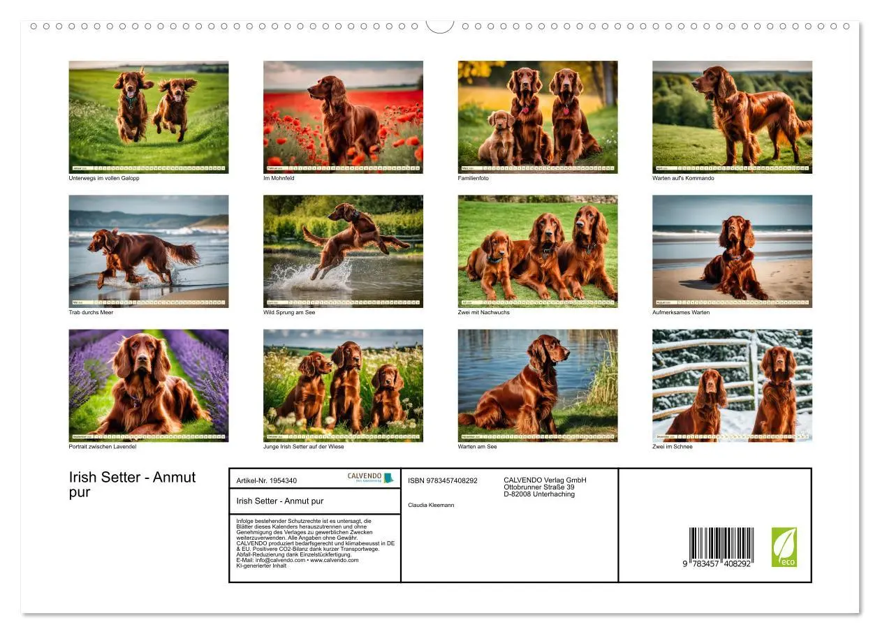 Bild: 9783457408292 | Irish Setter - Anmut pur (hochwertiger Premium Wandkalender 2026...
