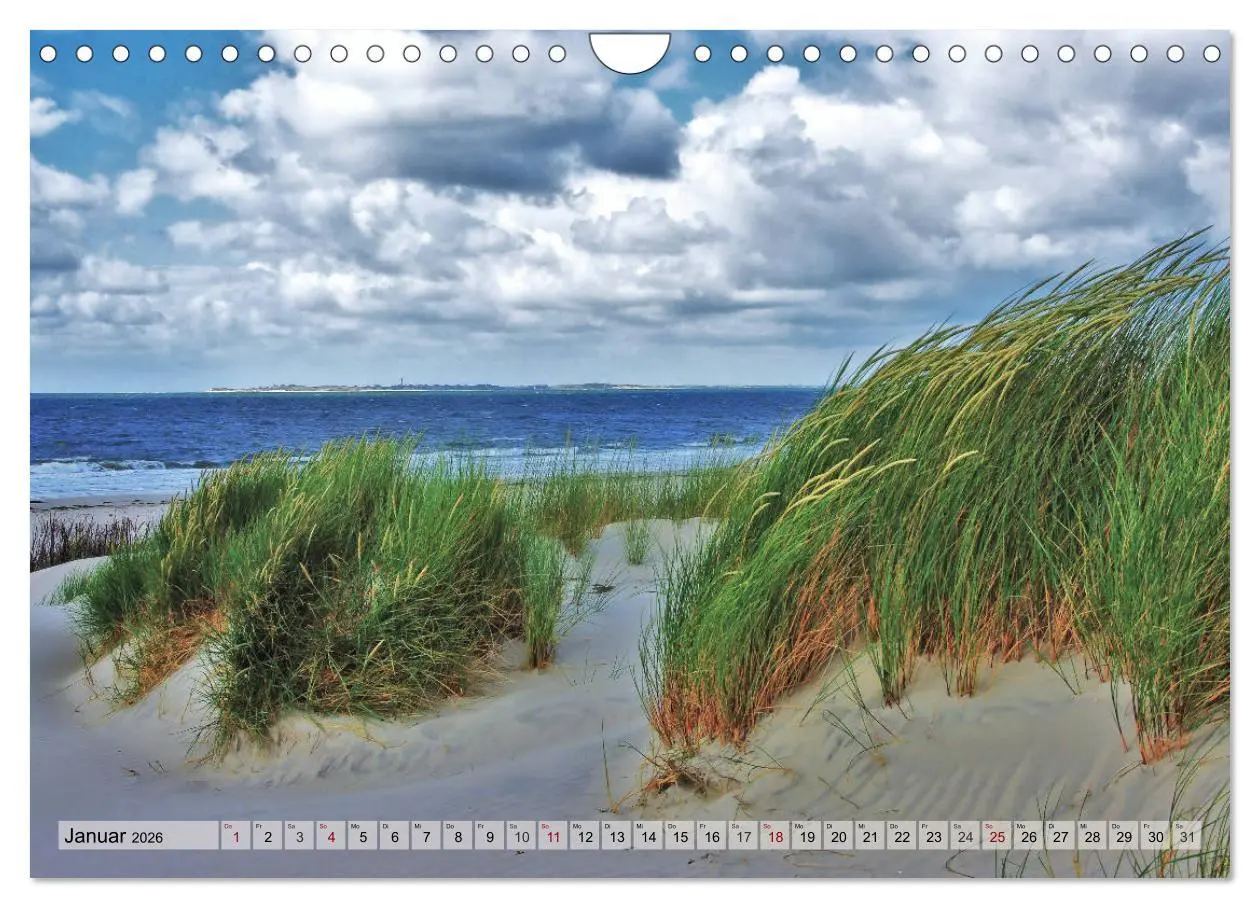 Bild: 9783457888292 | Typisch Amrum! (Wandkalender 2026 DIN A4 quer), CALVENDO...